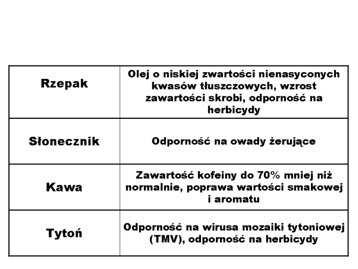 Slajd prezentacji