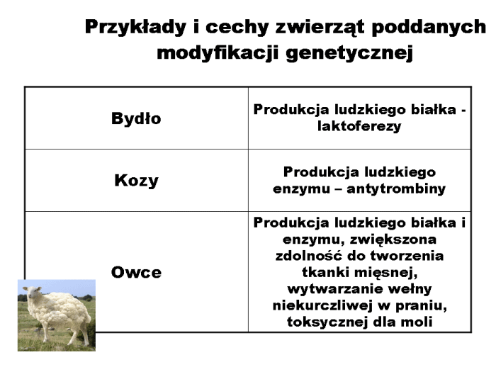 Slajd prezentacji