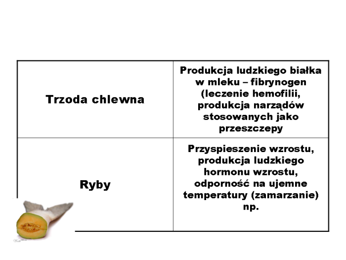 Slajd prezentacji