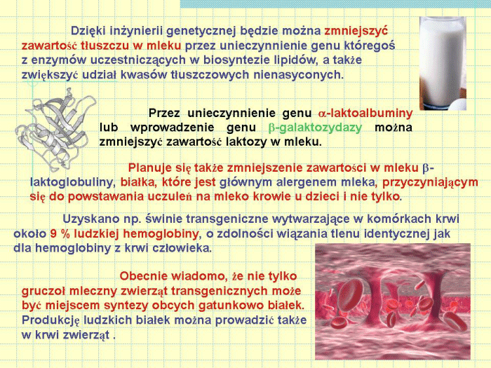 Slajd prezentacji