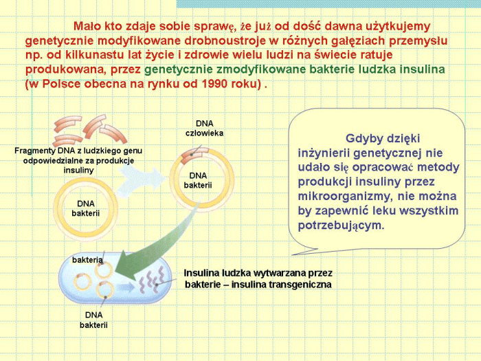 Slajd prezentacji