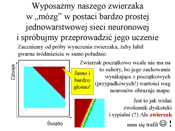 Slajd prezentacji