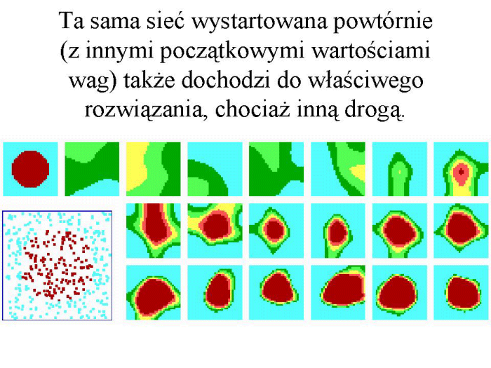 Slajd prezentacji