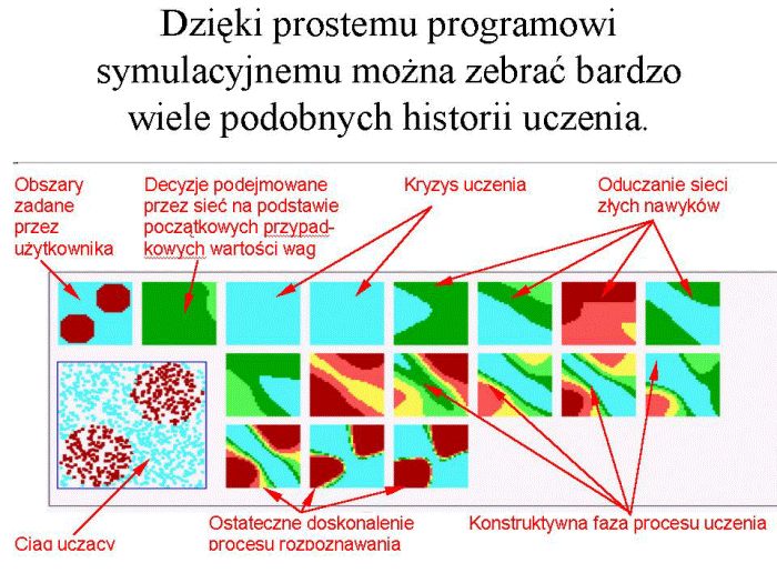 Slajd prezentacji