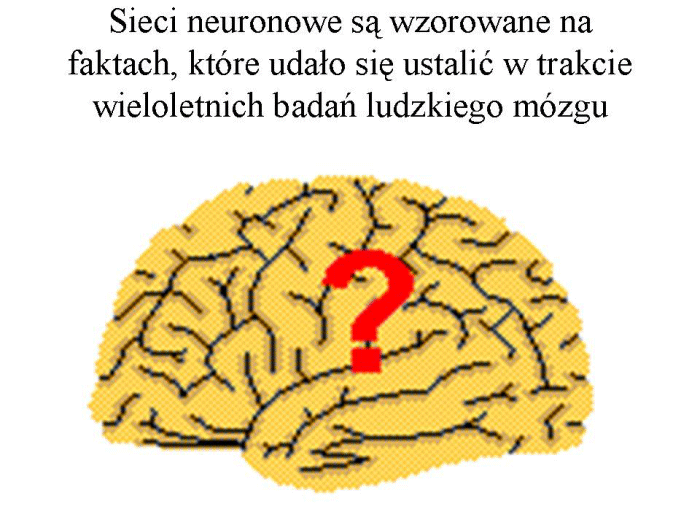 Slajd prezentacji