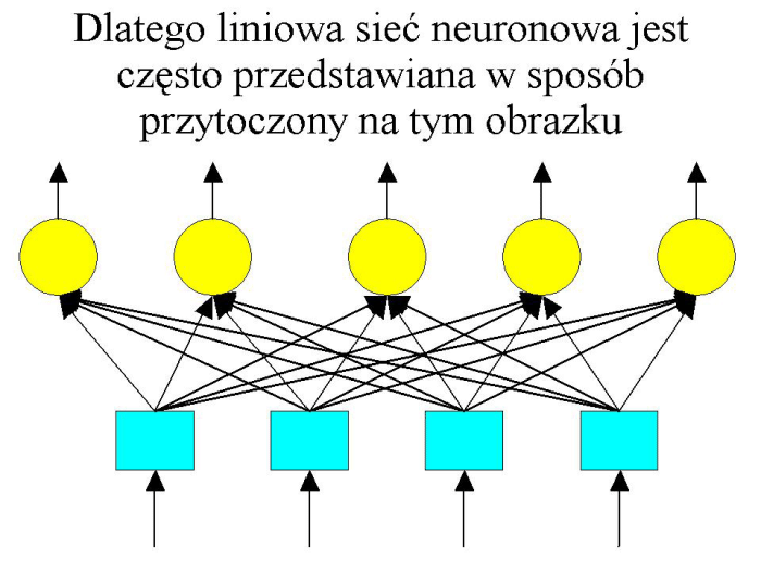 Slajd prezentacji