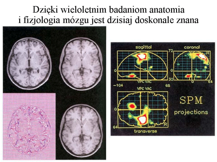 Slajd prezentacji