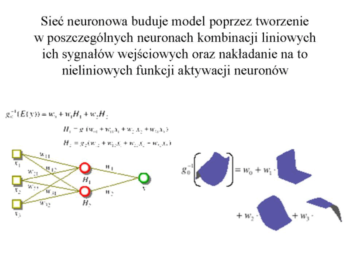 Slajd prezentacji