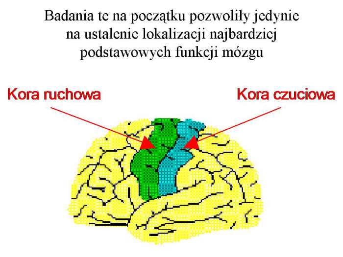 Slajd prezentacji