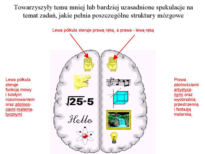 Slajd prezentacji