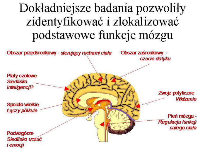 Slajd prezentacji