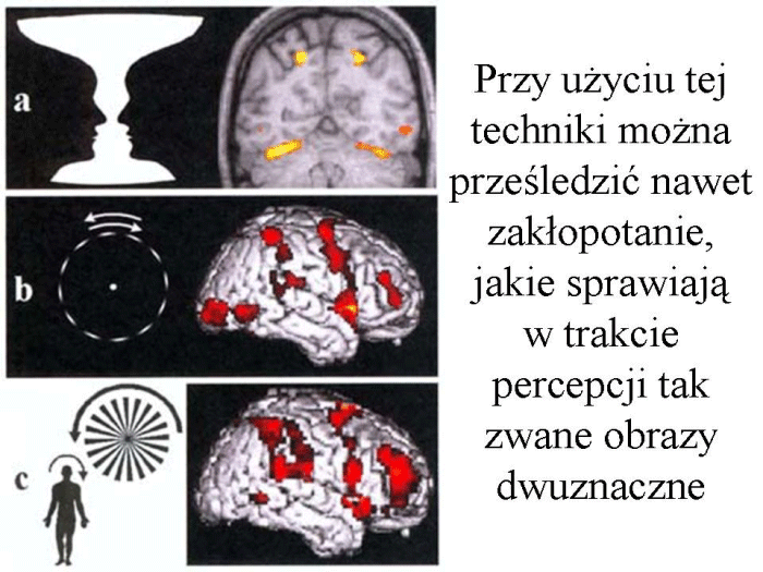 Slajd prezentacji