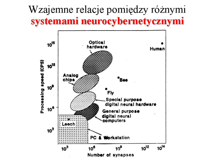 Slajd prezentacji