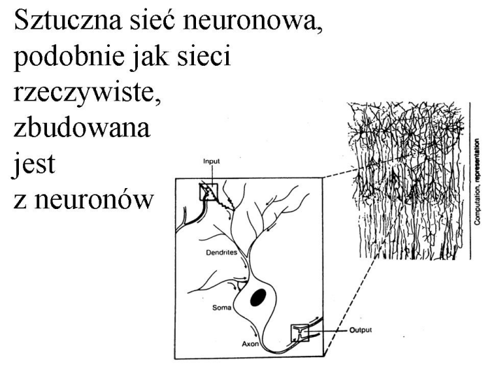 Slajd prezentacji