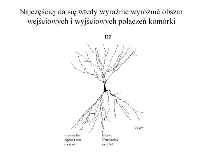 Slajd prezentacji