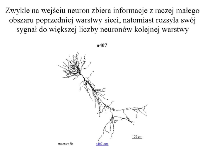 Slajd prezentacji