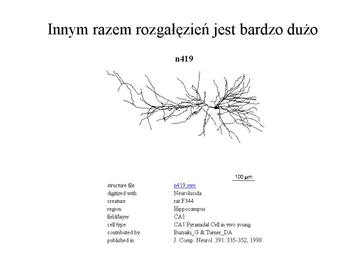 Slajd prezentacji