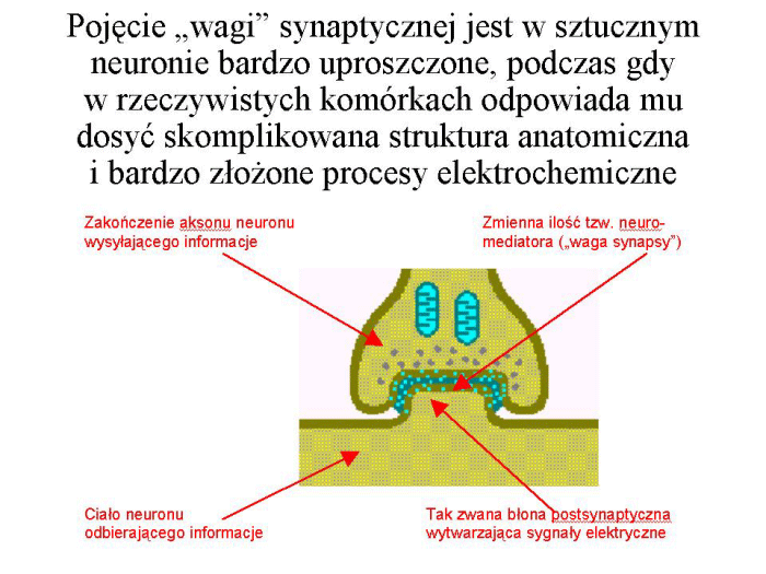 Slajd prezentacji