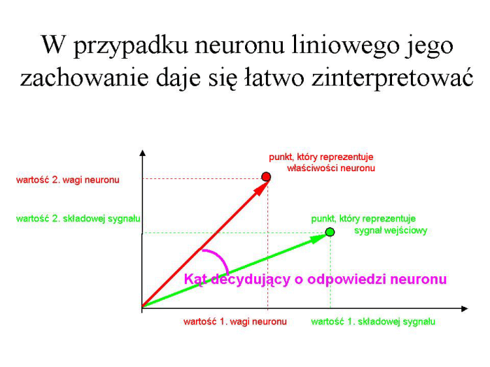 Slajd prezentacji