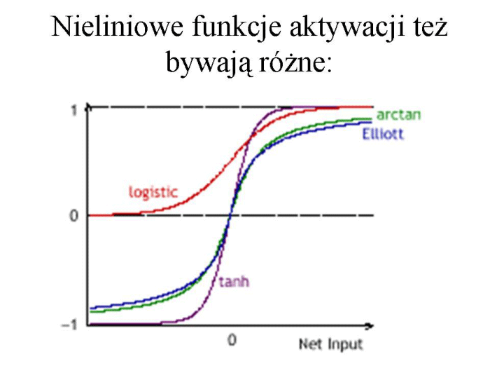 Slajd prezentacji