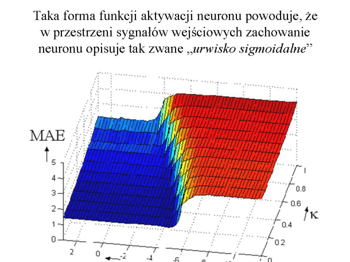 Slajd prezentacji