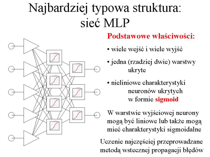 Slajd prezentacji