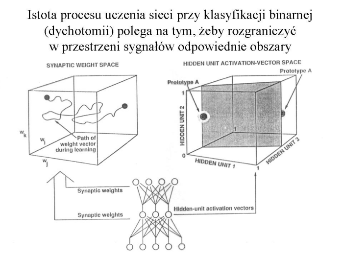 Slajd prezentacji