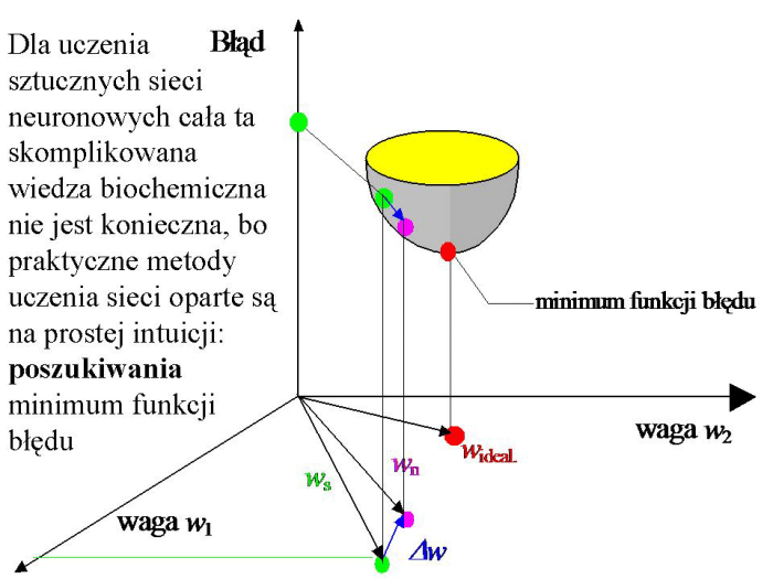 Slajd prezentacji