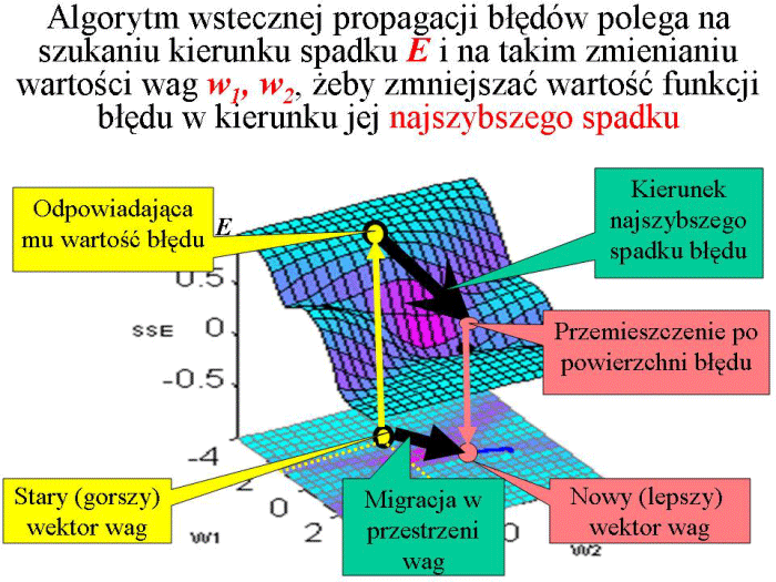 Slajd prezentacji