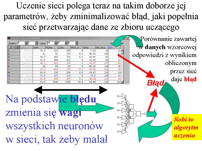 Slajd prezentacji